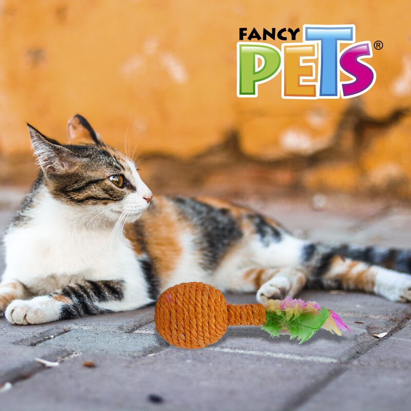 Fancy Pets Juguete Sonaja Con Plumas Para Gato ... image number null