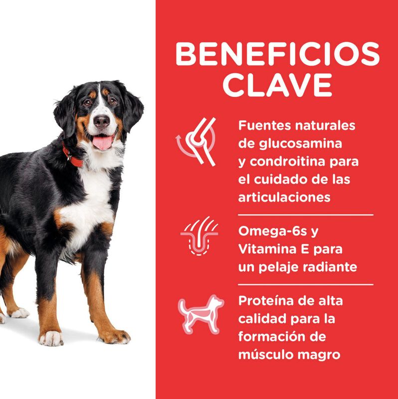 Hill's Canino Adult Large 15 Kg Original Sellad... image number null
