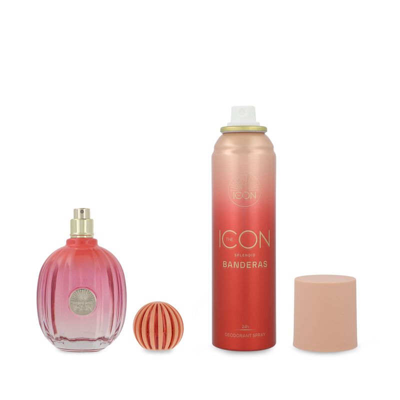 Set The Icon Splendid 2Pzs image number null