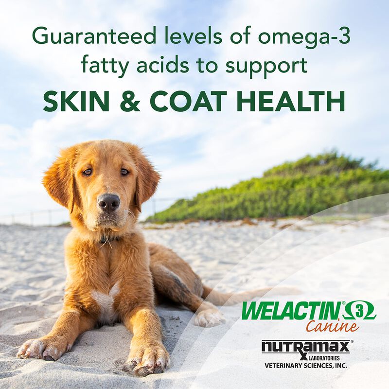 Suplemento Nutramax Welactin Canine Soft Gel De... image number null