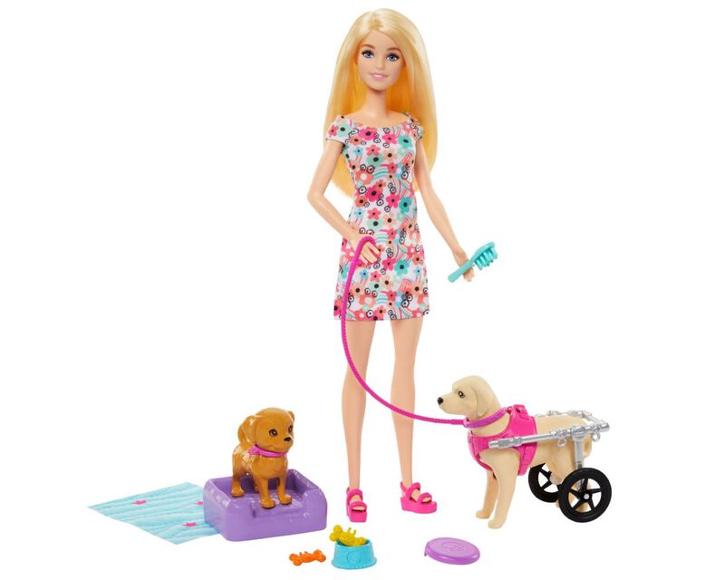 Barbie Paseo con Perrito en Silla de Ruedas HTK... image number null