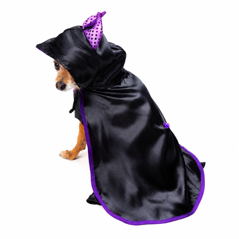 Disfraz Malefican Perro Halloween Talla 5 Masco... image number null