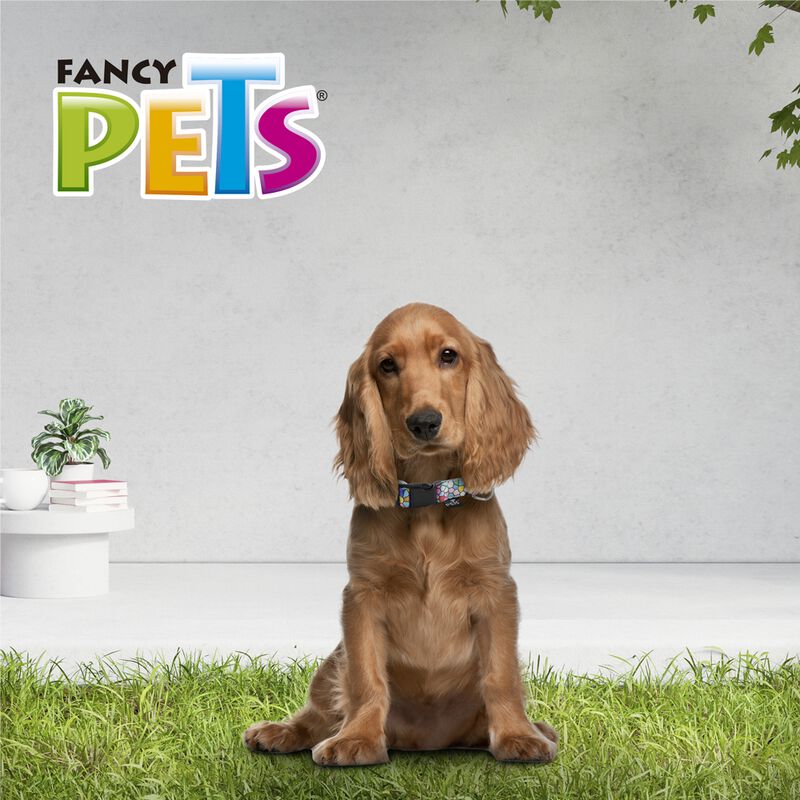 Fancy Pets Collar Galería Geo Glass Tamaño Medi... image number null