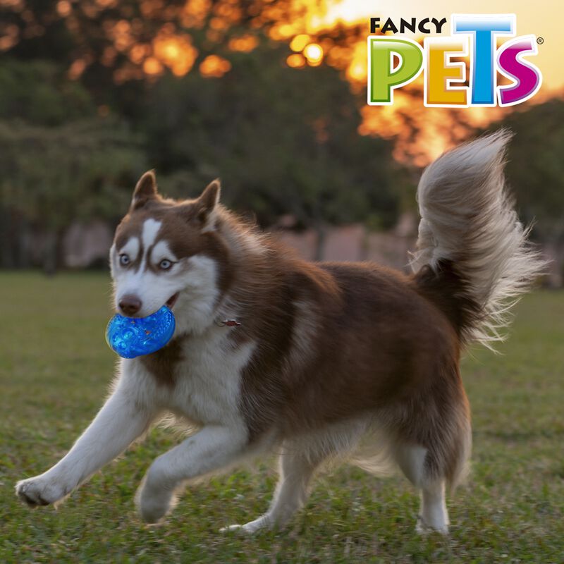 Fancy Pets Juguete Dona Sound Tama&ntilde;o Grande par... image number null