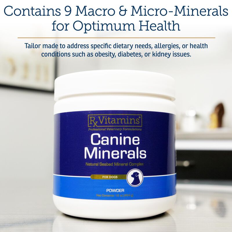 Suplemento En Polvo De Minerales Para Perros Rx... image number null