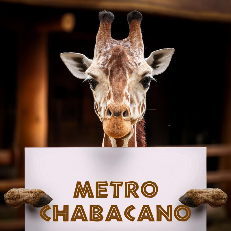 Bioparque + Transporte Incluido CDMX Metro Chab... image number null