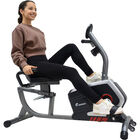 Bicicleta Fija Magnética Horizontal Fit Cardio con Monitor Centurfit