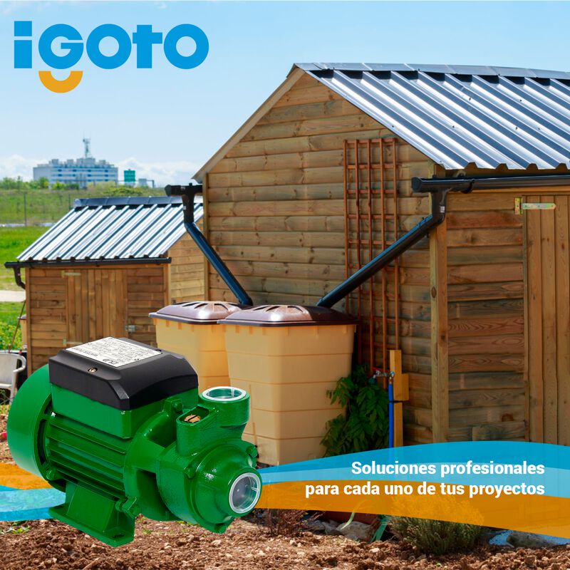 Bomba Periferica 1/2 Hp, 370 W Igoto Pe-60 image number null