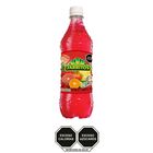 JARRITOS TUTI FRUTI AGA 600ML