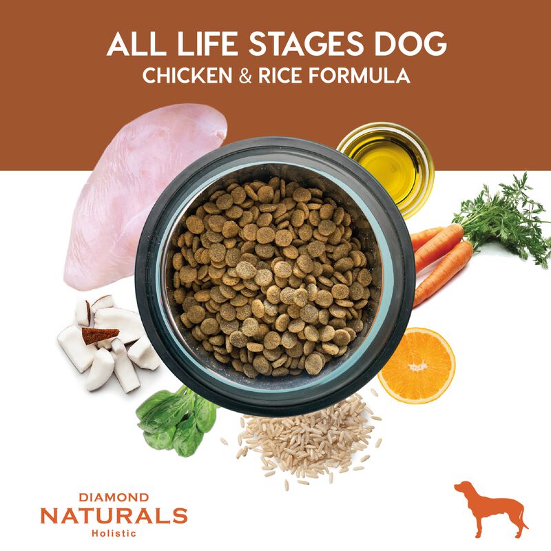 Diamond Naturals Skin & Coat Salmon & Potato Fo... image number null