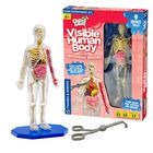 Modelo De Cuerpo Humano Thames & Kosmos Ooze Labs Con &Oacute;rganos