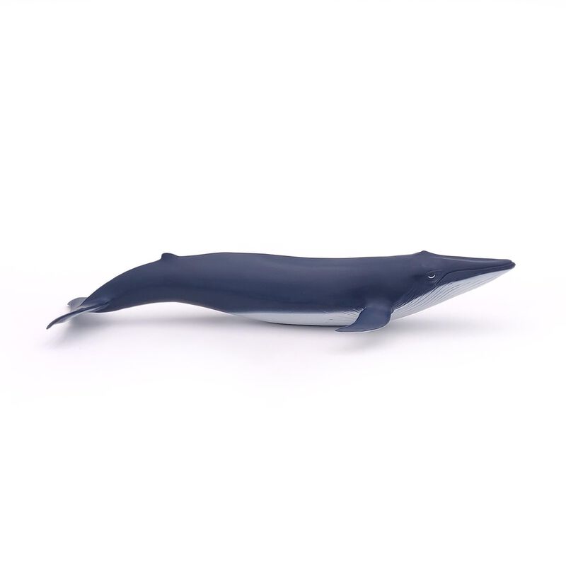 Figura Papo Marine Life Blue Whale Calf 56041 P... image number null