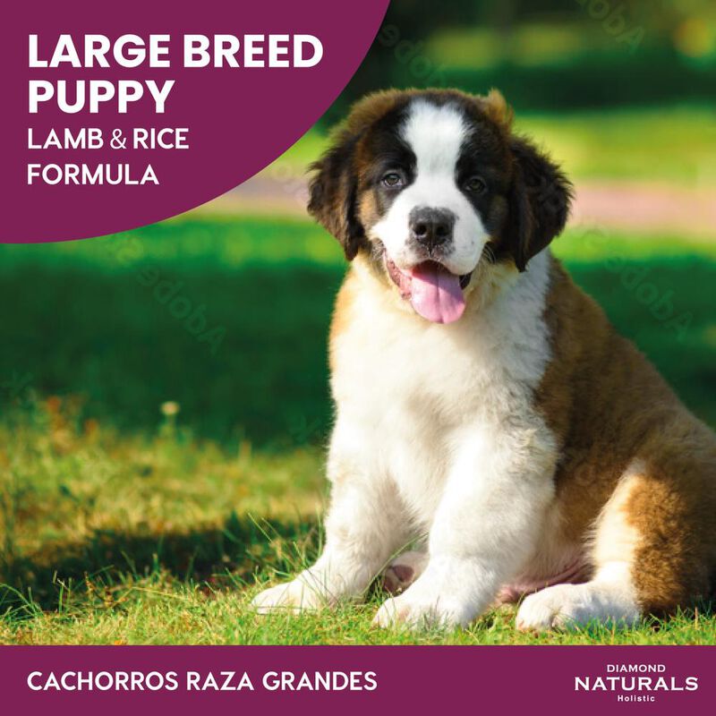 Diamondnaturals Lamb & Rice Formula 18.14 Kg image number null