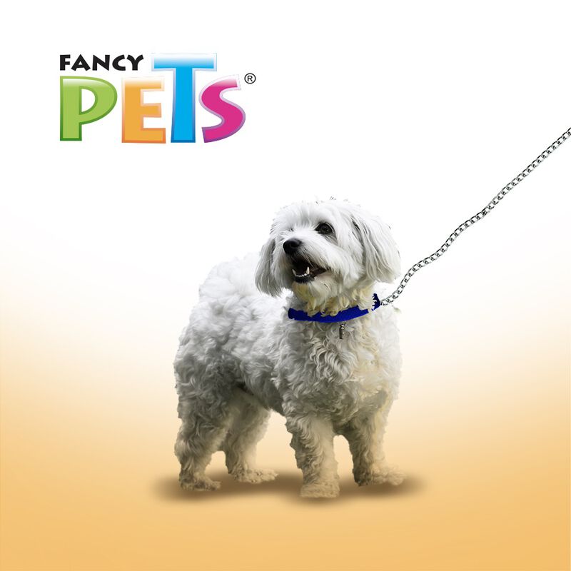 Fancy Pets Correa de Cadena Negra para Perro de... image number null