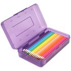 Estuche De L&aacute;pices Danrong 21x12x6 Cm Morado De Gran Capacidad
