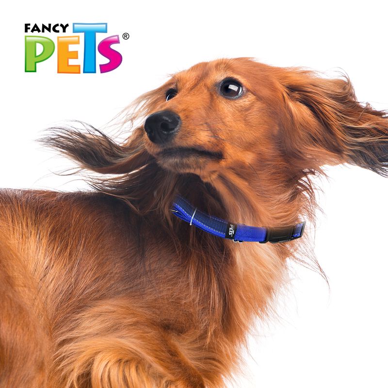Fancy Pets Collar Con Ultra Grip Y Bandas Refle... image number null