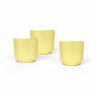 Set De 3 Macetas Ideen Arcilla Dorada
