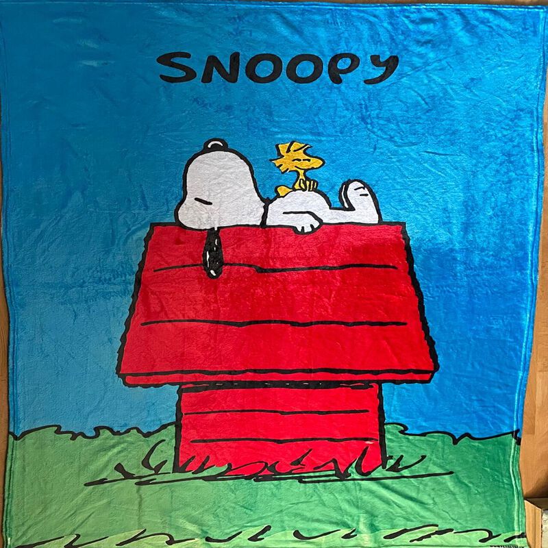 Exclusiva! Cobija Frazada Ultra Suave Snoopy Ca... image number null