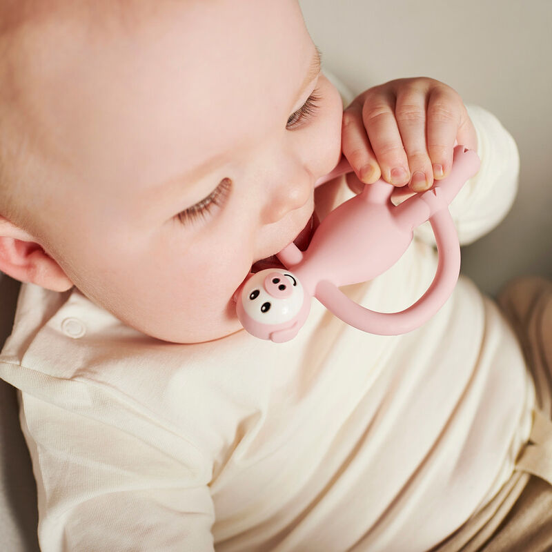 Mm Mordedera Cerdo image number null