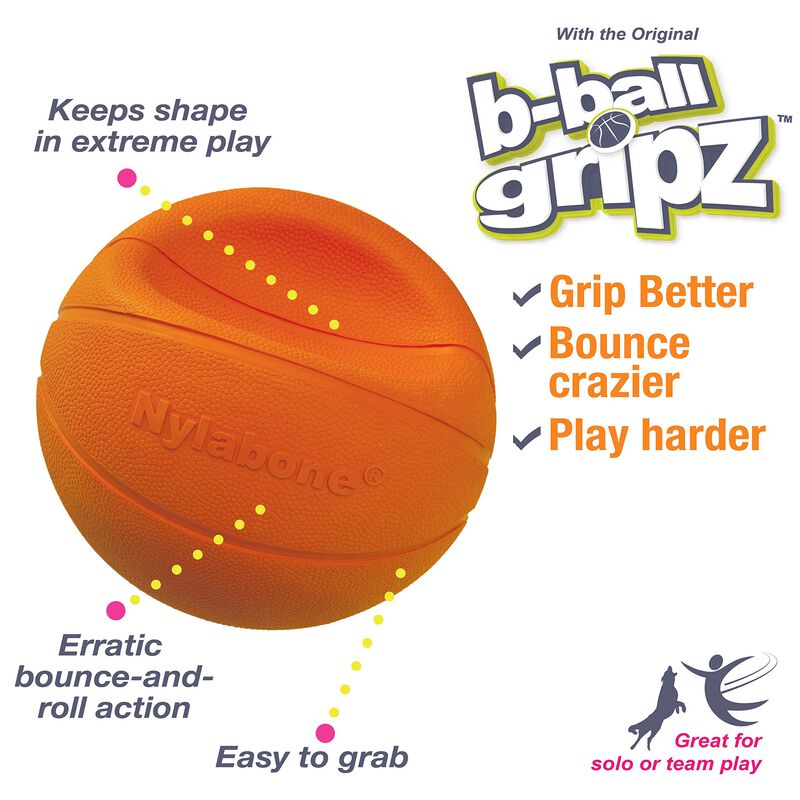 Juguete Para Perro Nylabone Power Play Basketba... image number null