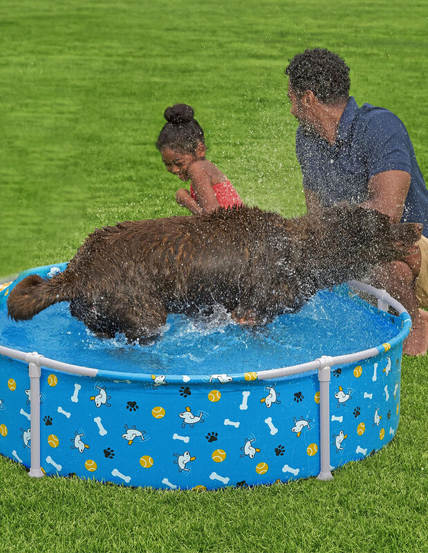 Alberca para mascotas, piscina estructural Best... image number null