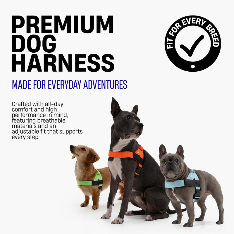 Arn&eacute;s Para Perro Dog Friendly Co. Talla Grande ... image number null