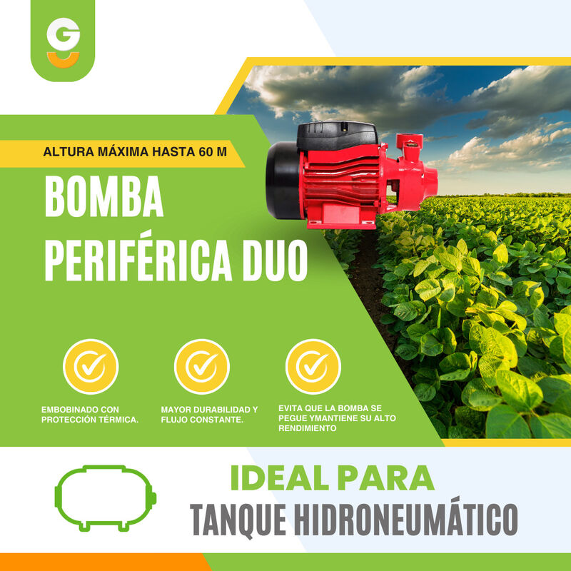 Bomba De Agua Periferica Duo 1/2hp 370w Igoto P... image number null