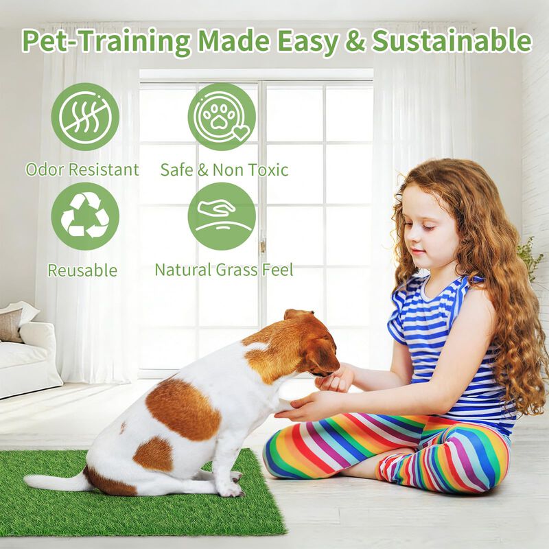 C&eacute;sped Artificial Para Ba&ntilde;o De Perros Starroad‑... image number null