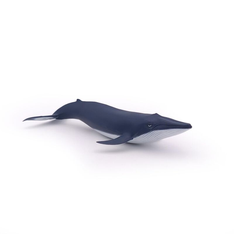 Figura Papo Marine Life Blue Whale Calf 56041 P... image number null