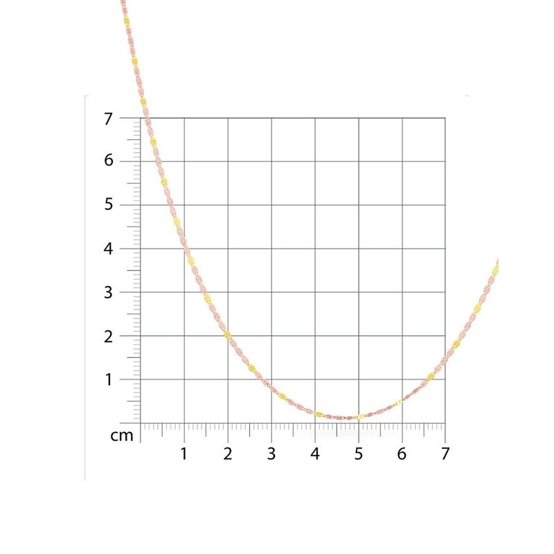 Cadena De Oro Florentino 14K Valentino (45Cm Ap... image number null