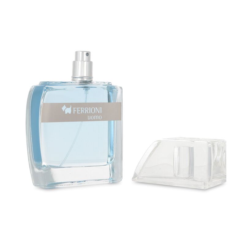 Ferrioni Uomo 100Ml Edt Spray image number null