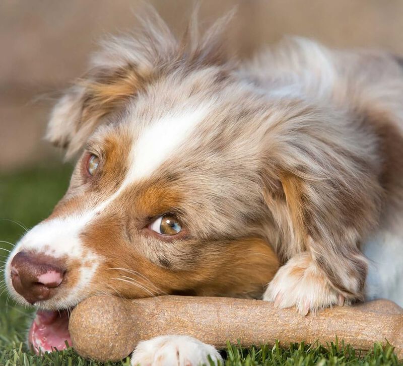 Hueso De Perro De Nailon Para Mascotas, Corteza... image number null
