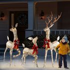 Set De Decoraci&oacute;n Exterior Con Dise&ntilde;o De Renos Navide&ntilde;os, 3 Piezas, Led