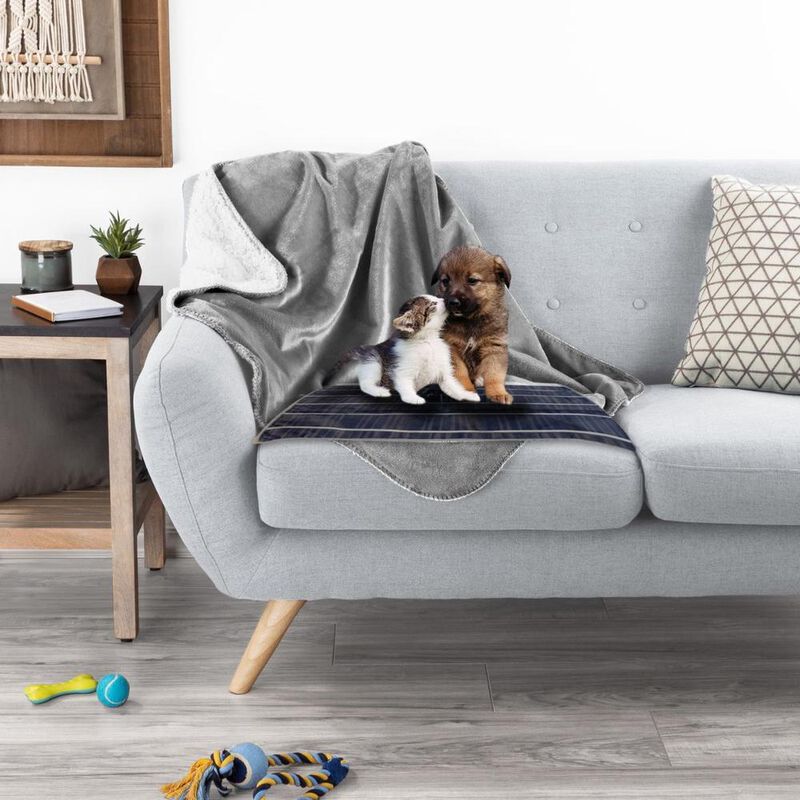 Funda Protectora Para Mascotas Polo One 6 Pack ... image number null