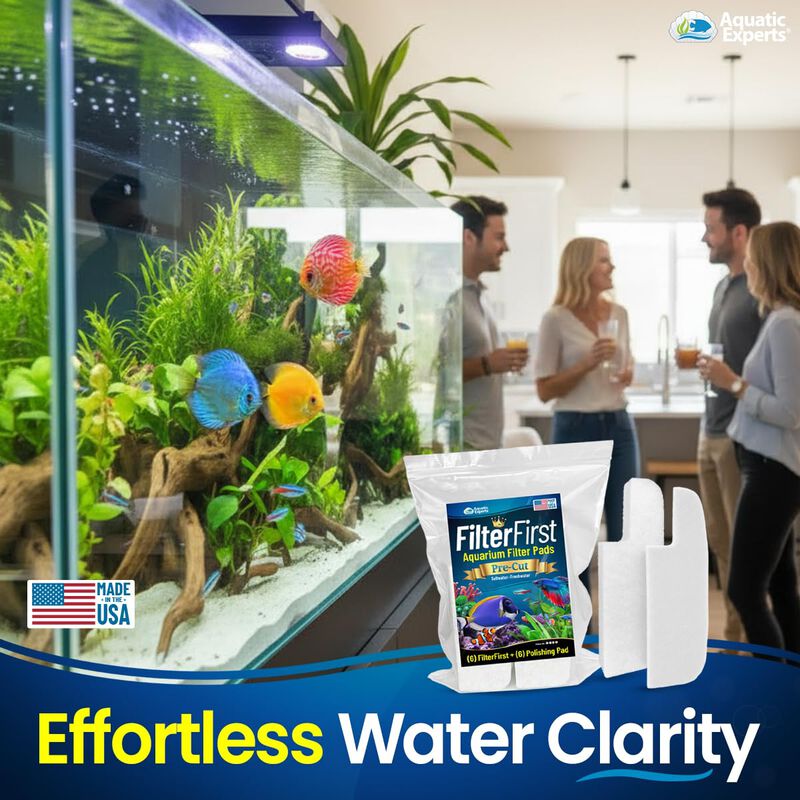 Combo Filtro Aquatic Experts Filterfirst + Almo... image number null
