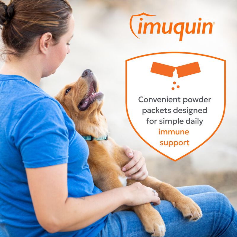 Suplemento Nutramax Imuquin Immune Health Para ... image number null