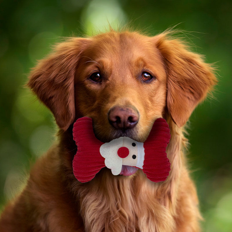 Juguete para Mascotas de Figuras Navide&ntilde;as Mult... image number null