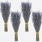 Lavanda Seca Bouquet Weald Tribe, 4 Racimos (200 G/400-440 Tallos)