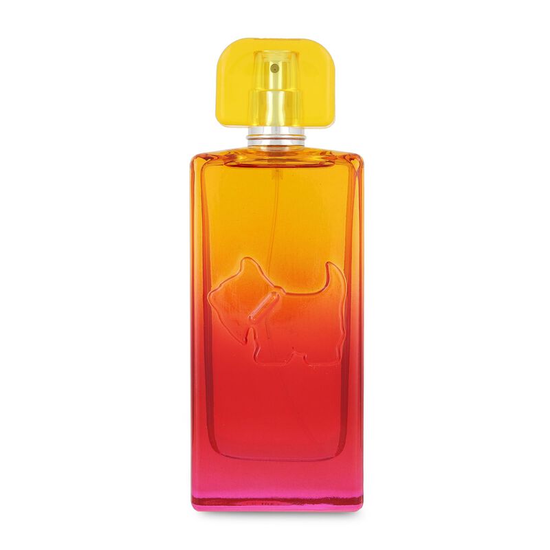 Ferrioni Sunset Vibes Malibu 100Ml Edt Spray image number null