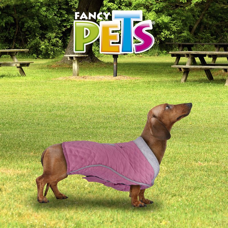 Fancy Pets Chaleco Tammy Para Perro Tamaño Medi... image number null