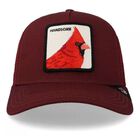 Gorra Goorin Bros Handosome 625431091