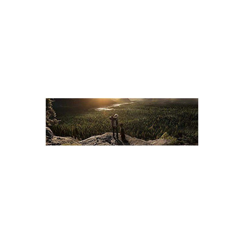 La llamada de lo salvaje [Blu-ray] image number null