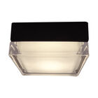 L&aacute;mpara Plaf&oacute;n/pared Led 10 W, Luz C&aacute;lida Brillante, Ip54, Ik05 No Atenuable
