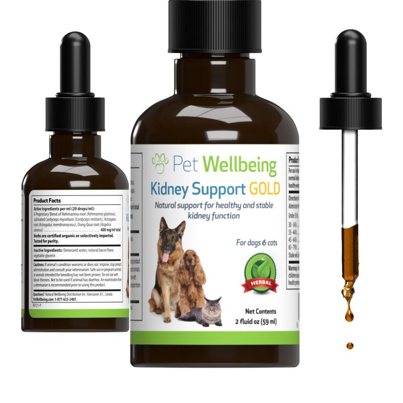 Suplemento Pet Wellbeing Kidney Support Gold Pa... image number null