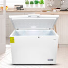 Congelador Horizontal AURUS AFC11W 11p3