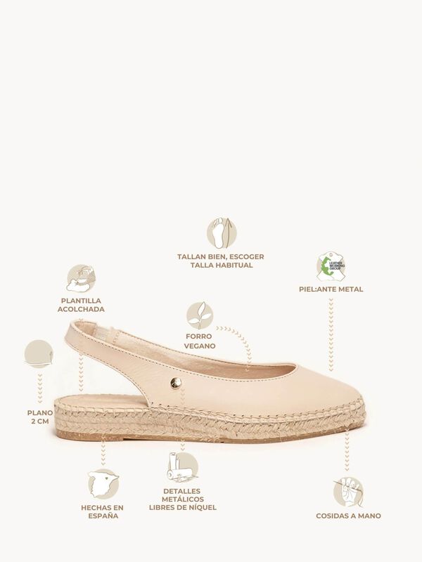 Camelia Cu&ntilde;a Napa Arena image number null