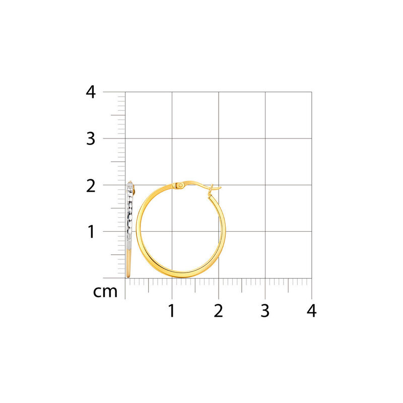 Arracadas Oro 10k Con Platinado 21 mm | Bizzarr... image number null