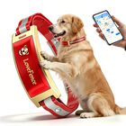 Cerca Inal&aacute;mbrica Para Perros Weuyuy Gps Sin Cuota &ndash; Mediana/grande