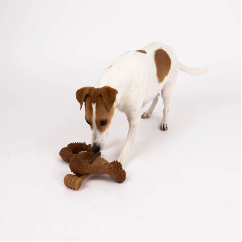 Mordedera De Bamboo Para Perro image number null
