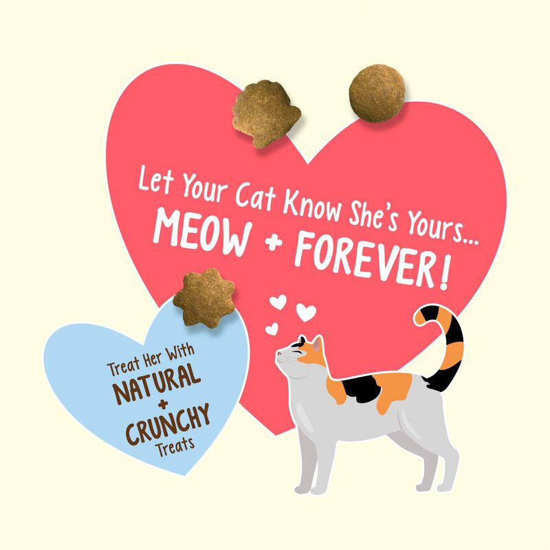 Cat Treats Purina Friskies Natural Yums Tuna, B... image number null
